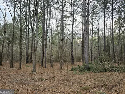 0 Willow St, Maxeys, GA 30671 photo 21