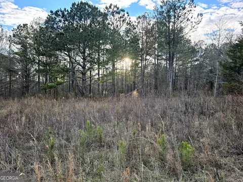 0 Willow St, Maxeys, GA 30671 photo 25