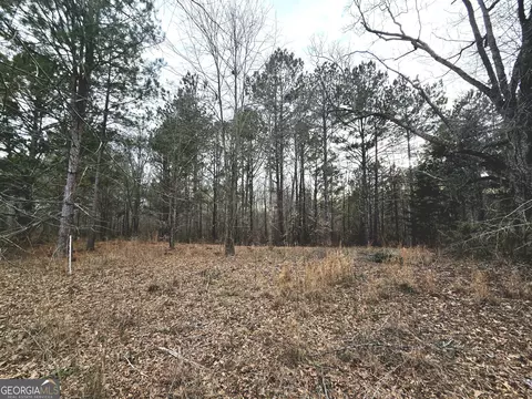 0 Willow St, Maxeys, GA 30671 photo 16
