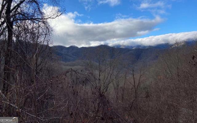4 Buck Horn Road, Bryson City, NC 28713