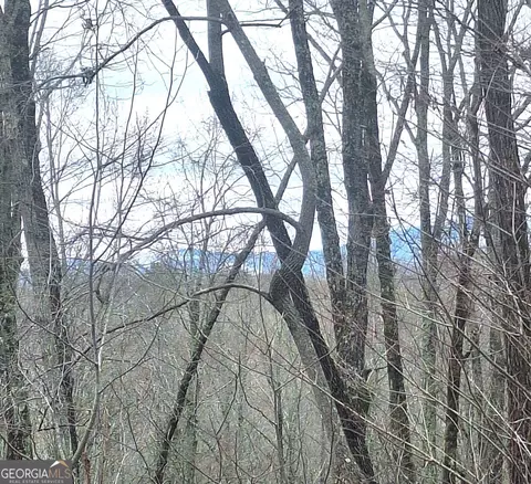 lot158 Trailwood Dr, Ellijay, GA 30536