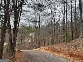 lot Numbers South Basin, Jasper, GA 30143 photo 15