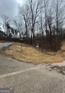 lot Numbers South Basin, Jasper, GA 30143 photo 22