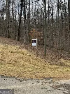 lot Numbers South Basin, Jasper, GA 30143 photo 21
