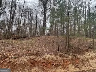 lot Numbers South Basin, Jasper, GA 30143 photo 14