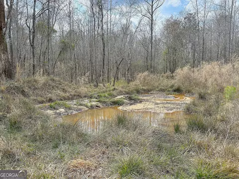 3900 Greenville Rd, Lagrange, GA 30241 photo 29