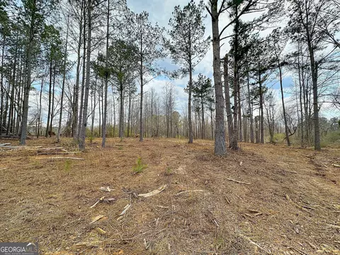 3900 Greenville Rd, Lagrange, GA 30241 photo 32