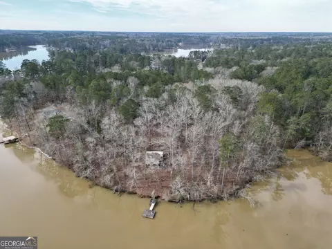 View/Area - 141 Spring Dr, Jackson, GA 30233 photo 5 of 12