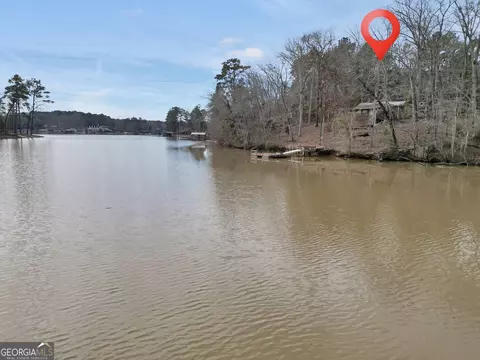 View/Area - 141 Spring Dr, Jackson, GA 30233 photo 11 of 12