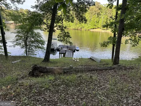 View/Area - 141 Spring Dr, Jackson, GA 30233 photo 3 of 12