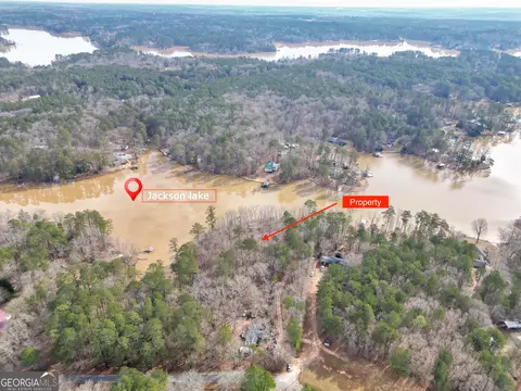 View/Area - 141 Spring Dr, Jackson, GA 30233 photo 12 of 12