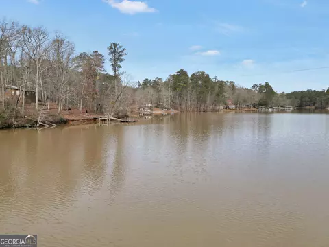 View/Area - 141 Spring Dr, Jackson, GA 30233 photo 8 of 12