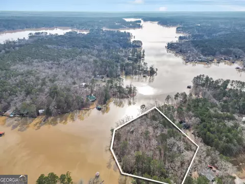 View/Area - 141 Spring Dr, Jackson, GA 30233 photo 10 of 12