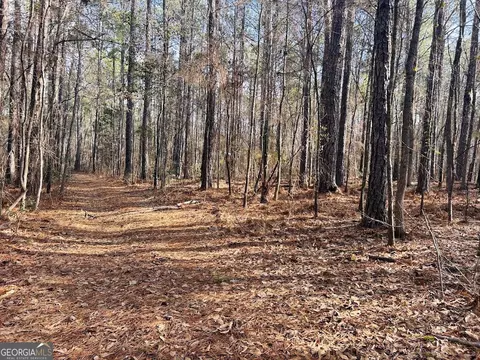 0 Highway 208, Waverly Hall, GA 31831