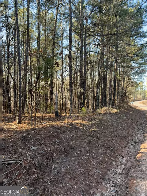 lot7 Beach Rd, Greenville, GA 30222