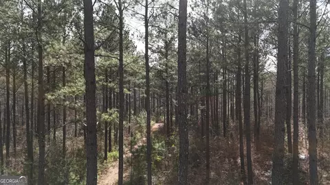 490 Watson Mill Rd, Comer, GA 30629 photo 50