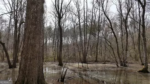 490 Watson Mill Rd, Comer, GA 30629 photo 41