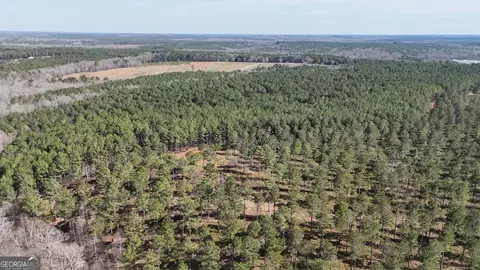 490 Watson Mill Rd, Comer, GA 30629 photo 60