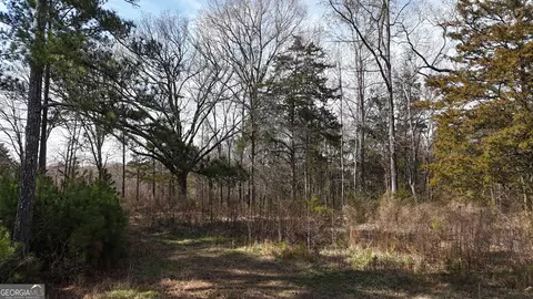 490 Watson Mill Rd, Comer, GA 30629 photo 44
