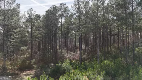 490 Watson Mill Rd, Comer, GA 30629 photo 57