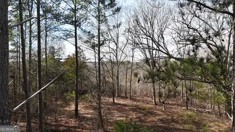 490 Watson Mill Rd, Comer, GA 30629 photo 51