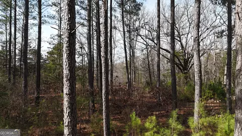 490 Watson Mill Rd, Comer, GA 30629 photo 43