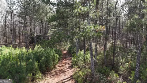 490 Watson Mill Rd, Comer, GA 30629 photo 48