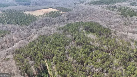 490 Watson Mill Rd, Comer, GA 30629 photo 59