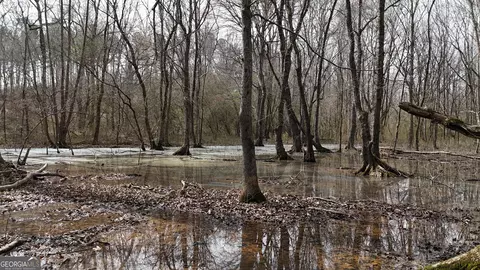 490 Watson Mill Rd, Comer, GA 30629 photo 38