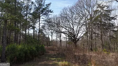 490 Watson Mill Rd, Comer, GA 30629 photo 46