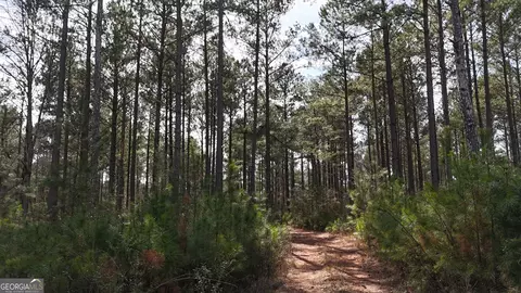 490 Watson Mill Rd, Comer, GA 30629 photo 42
