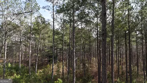 490 Watson Mill Rd, Comer, GA 30629 photo 54