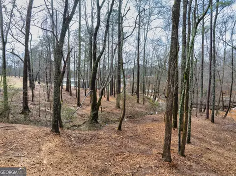 20 Lakeside Trl, Covington, GA 30016 photo 66