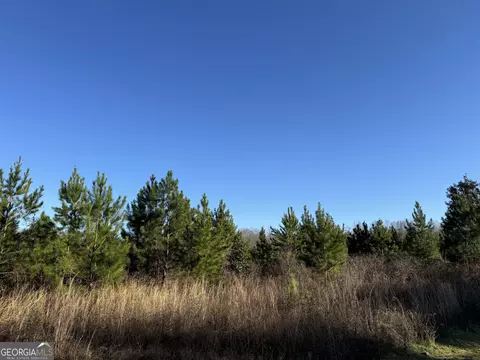 003 Sealy Wells Rd, Gordon, AL 36343