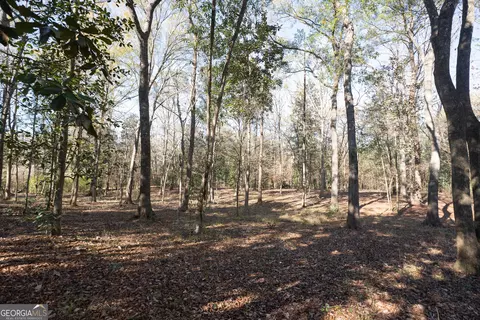 Exterior - 1217 Pine Park Rd, Cairo, GA 39828 photo 8 of 9