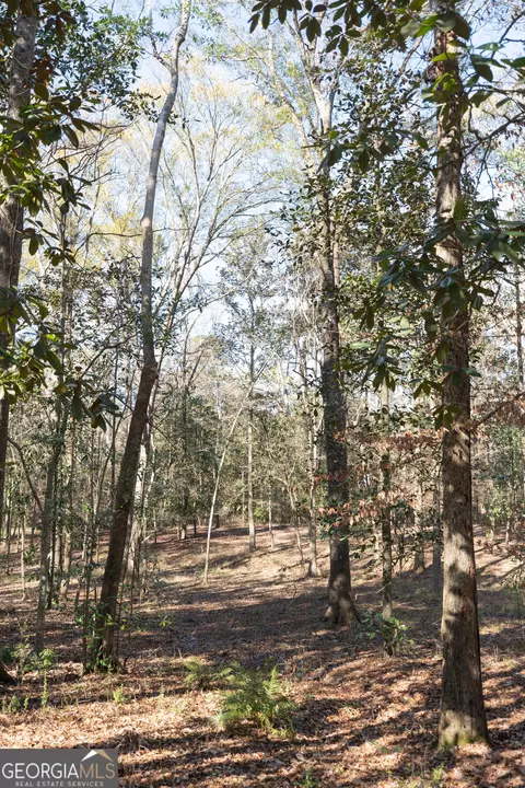 Other - 1217 Pine Park Rd, Cairo, GA 39828 photo 5 of 8