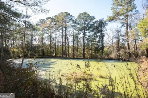 View/Area - 1217 Pine Park Rd, Cairo, GA 39828 photo 1 of 1
