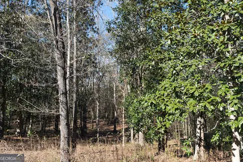 Other - 1217 Pine Park Rd, Cairo, GA 39828 photo 4 of 8