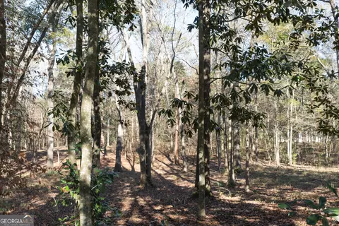 Exterior - 1217 Pine Park Rd, Cairo, GA 39828 photo 7 of 9