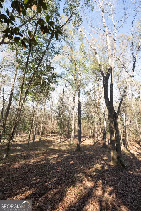 Other - 1217 Pine Park Rd, Cairo, GA 39828 photo 6 of 8