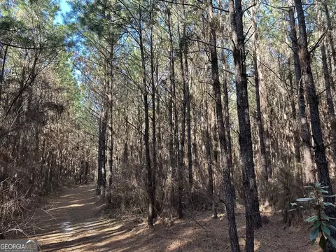 023 Barnes Rd, Gordon, AL 36343 photo 5