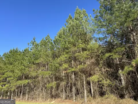 023 Barnes Rd, Gordon, AL 36343 photo 6
