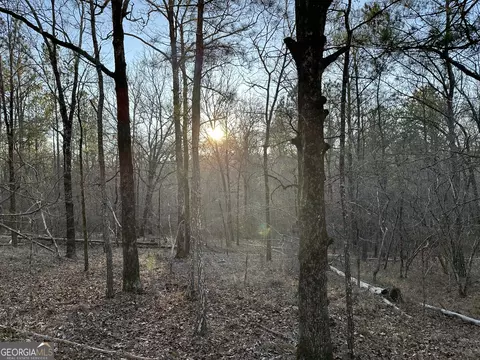 1 Us 80, Roberta, GA 31078