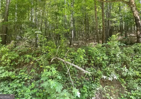 0 Damascus Rd, Ranger, GA 30734