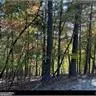 2635 Garnet Dr, Ellijay, GA 30540