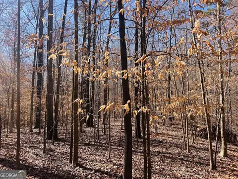 0 Hunters Creed Rd, Toccoa, GA 30577 photo 10