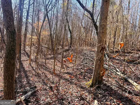 0 Hunters Creed Rd, Toccoa, GA 30577 photo 3