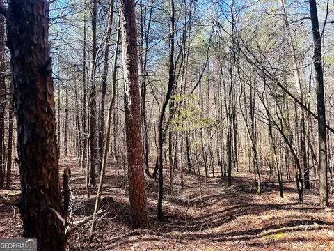 0 Hunters Creed Rd, Toccoa, GA 30577 photo 17