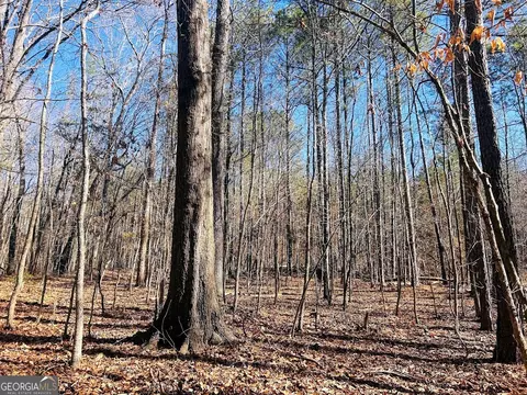 0 Hunters Creed Rd, Toccoa, GA 30577 photo 9