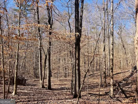 0 Hunters Creed Rd, Toccoa, GA 30577 photo 11